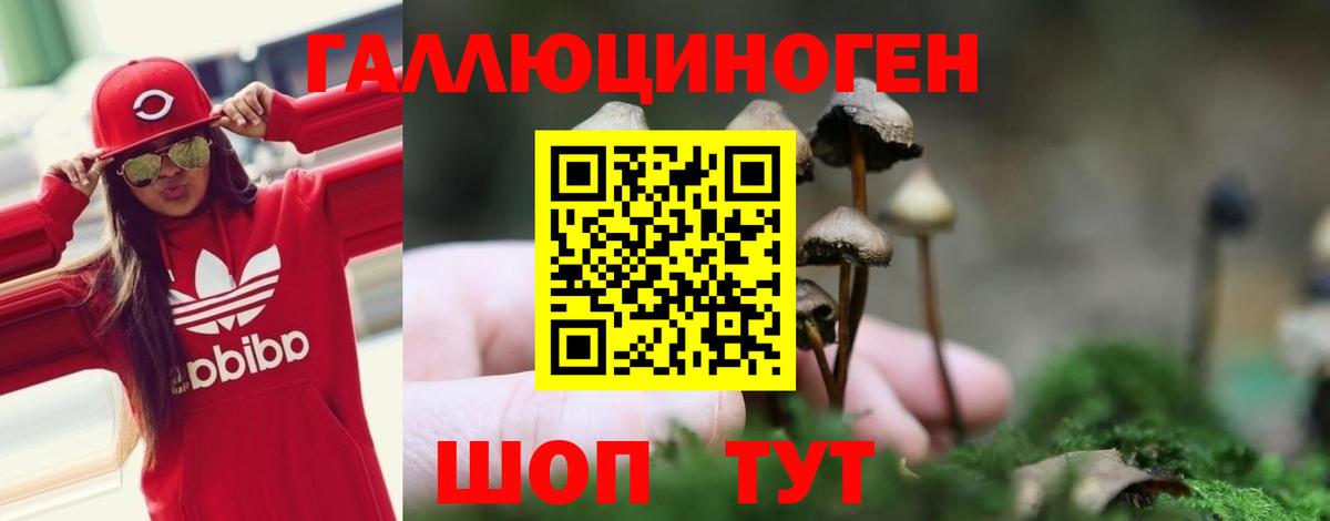 Галлюциногенные грибы Cubensis  Вход с VPN  Мончегорск  Псилоцибиновые грибы Cubensis 